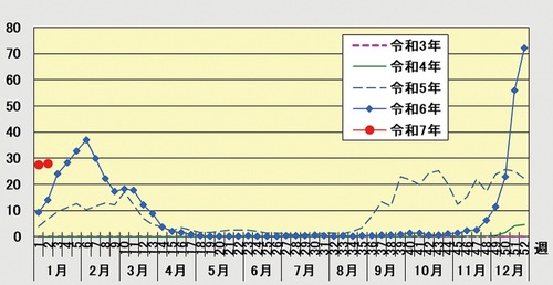 定点あたりの患者数の推移（人）