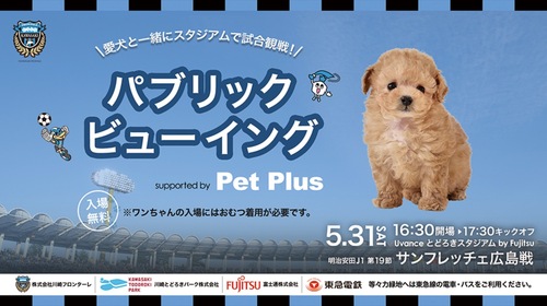 パブリックビューイングの案内イメージ