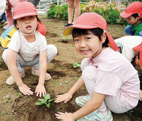 苗を植える園児