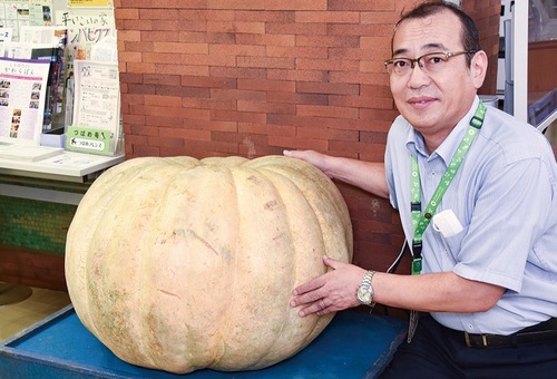 渋谷所長が紹介する巨大カボチャ（９月５日撮影）