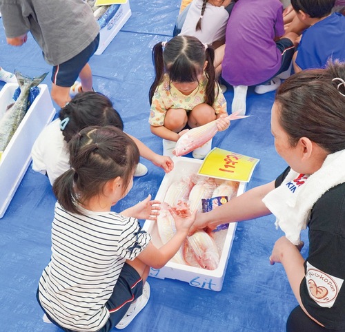 魚を触る子どもたち