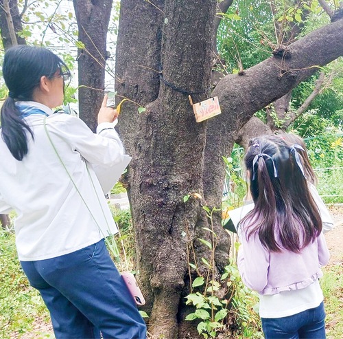 宮崎第四公園の里山で木々について教わる子ども