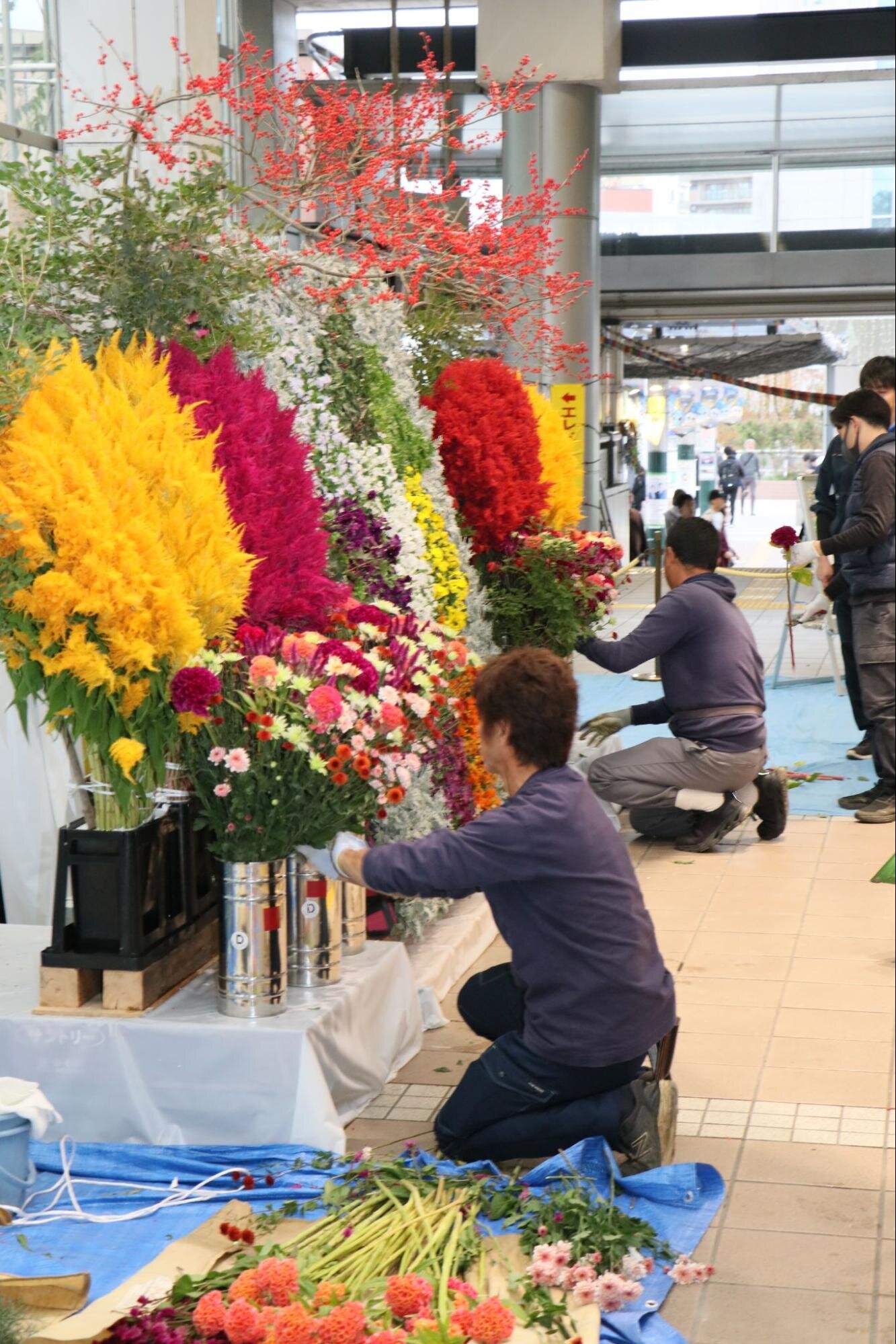 いよいよ「第41回全国都市緑化かわさきフェア」の春開催がスタート。JA