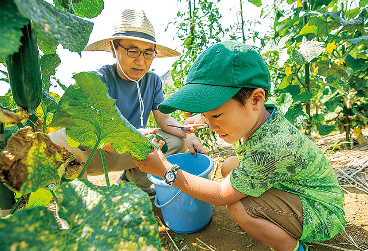 ＪＡセレサ川崎の体験型農園新規利用者の説明会を開催