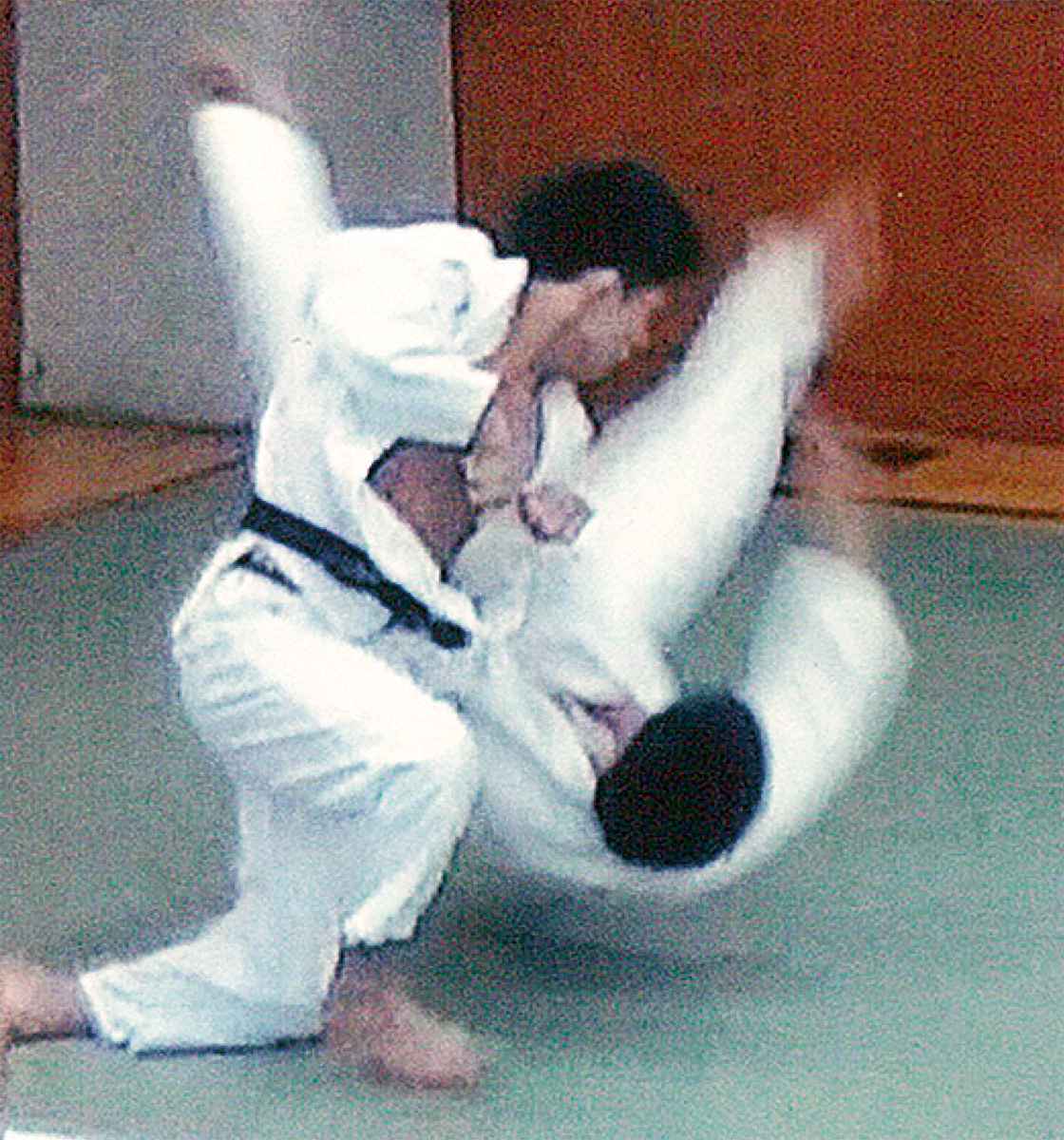 柔剣道の技競う