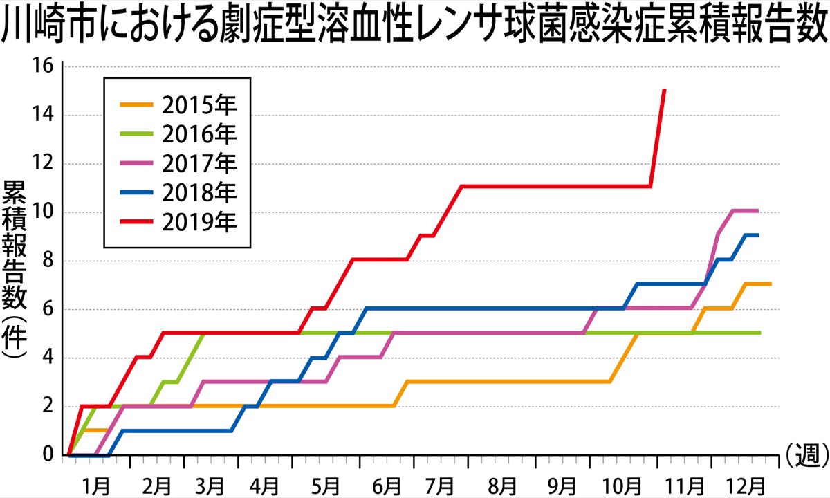 感染 症 溶連菌