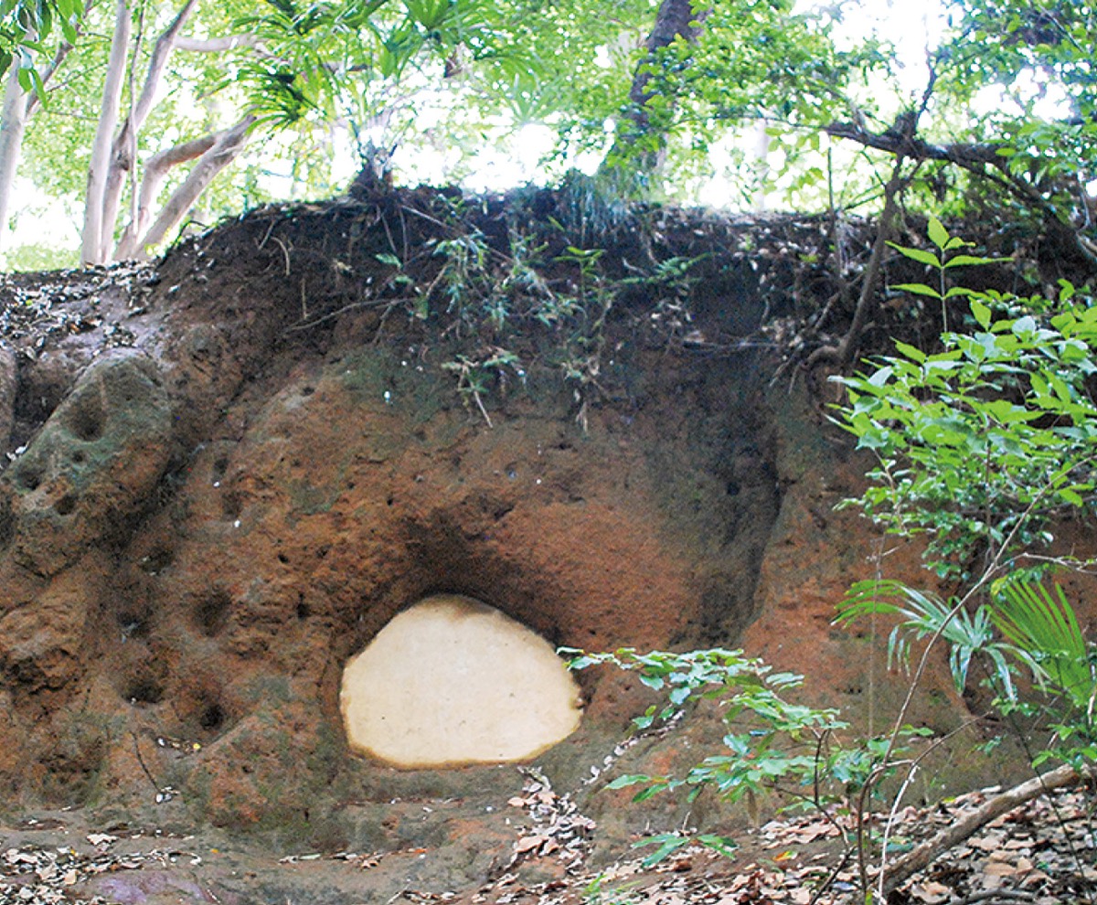 防空壕か？謎の洞穴
