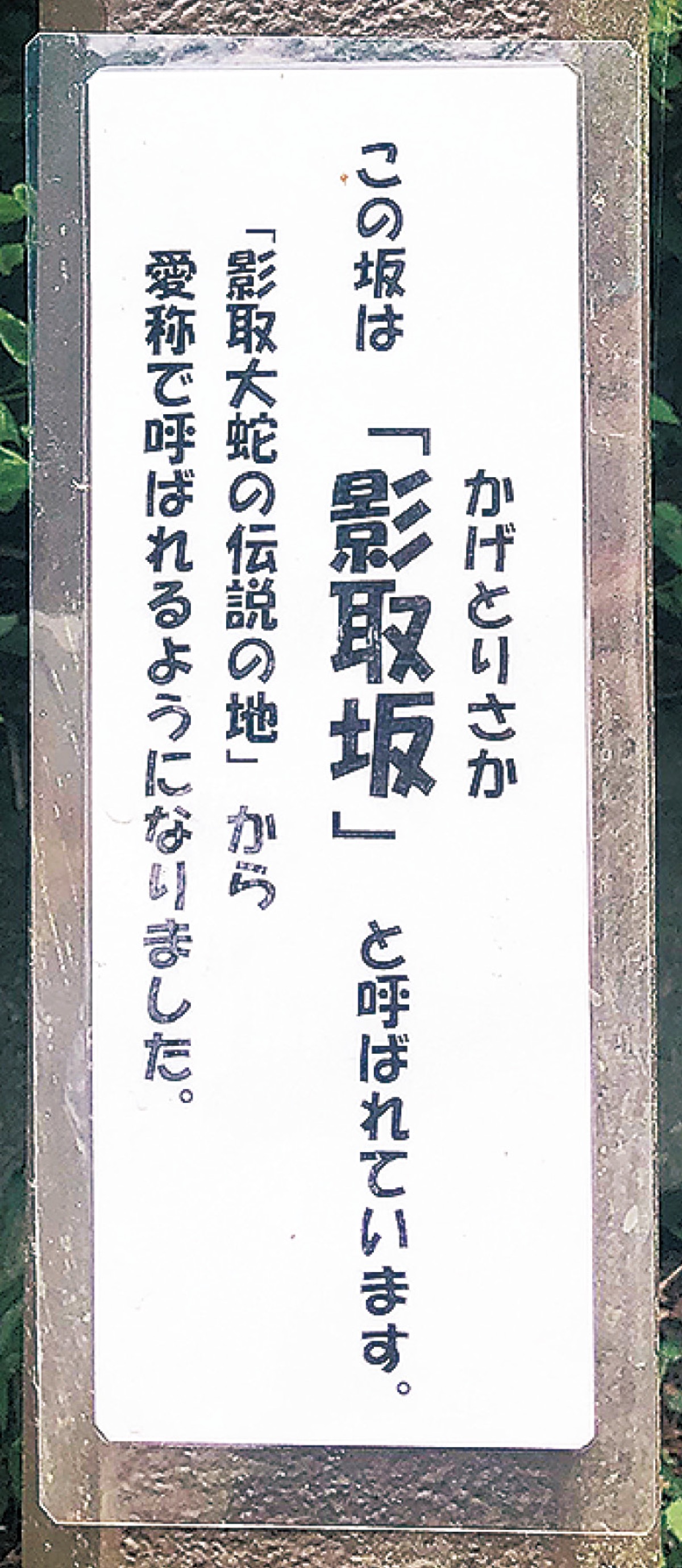 まさか そんな坂あった!?