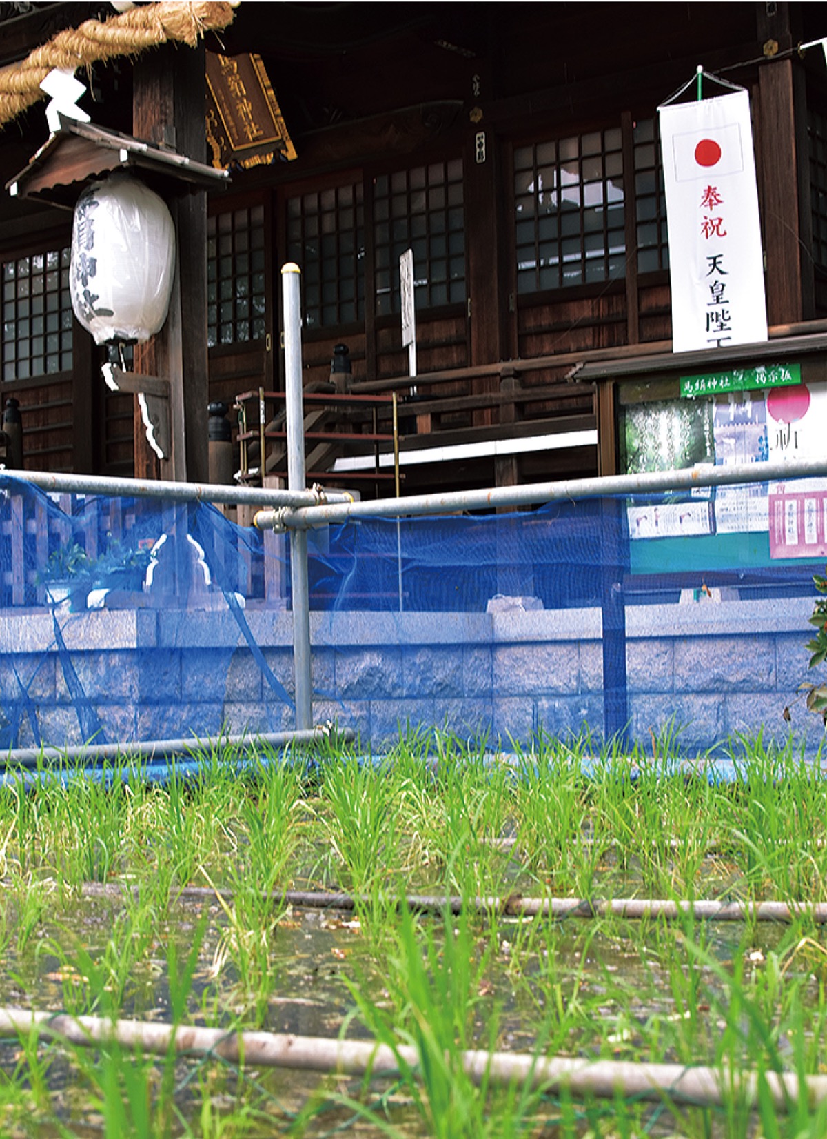 境内に設置されている水田