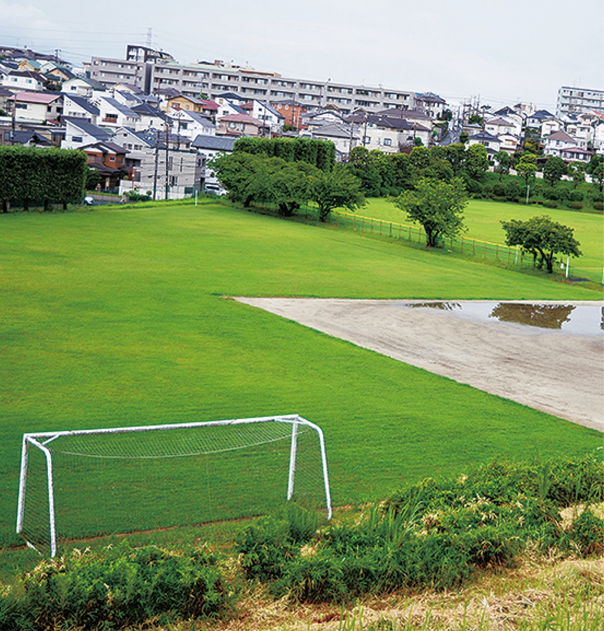 日本精工鷺沼運動場 昭和大が土地取得へ 市民に開放 暫定で継続 宮前区 タウンニュース