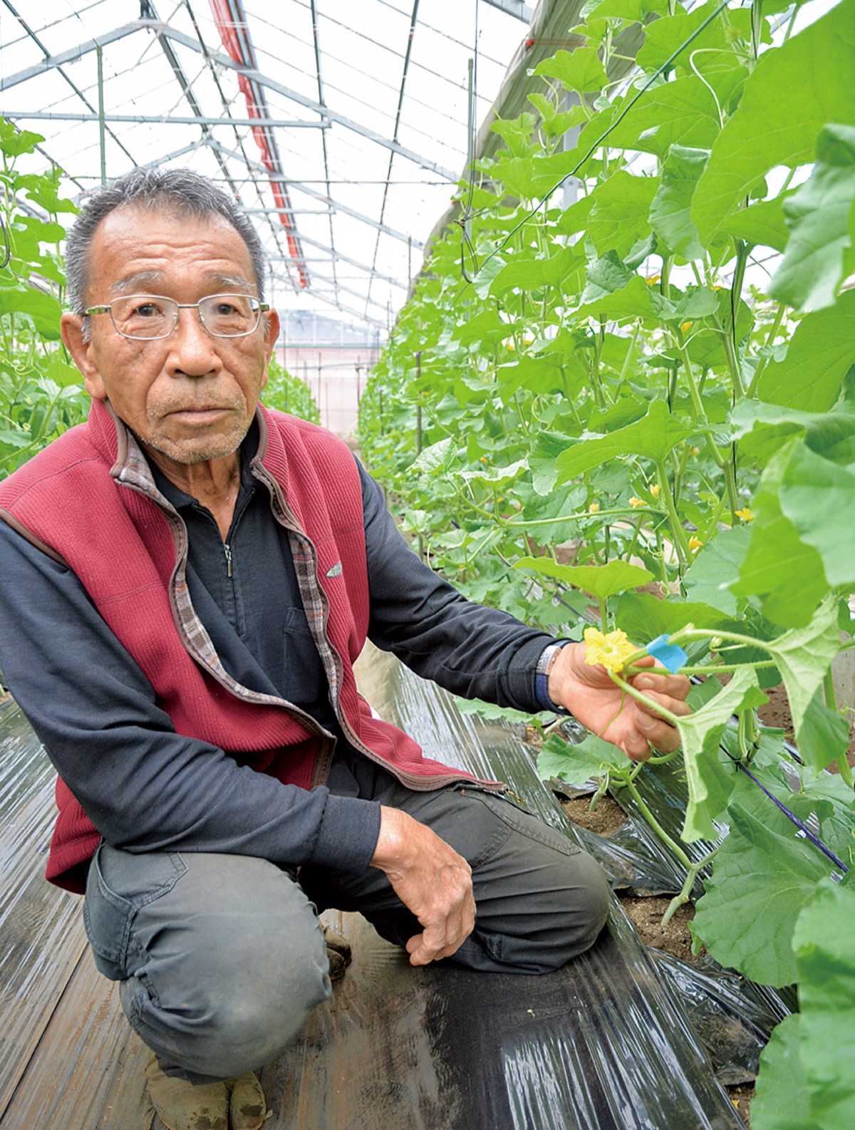 宮前メロンの花を手にする井上さん