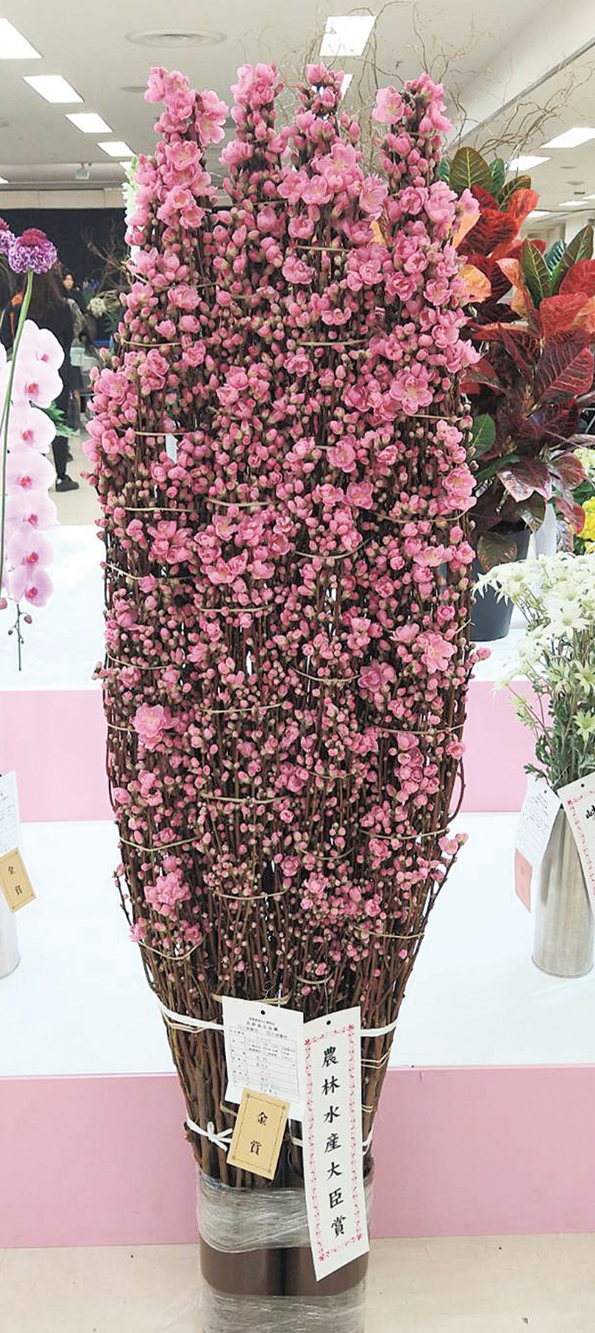 ブーケ 喰っ ☆パート2☆【出品してあるものの写真のみ】