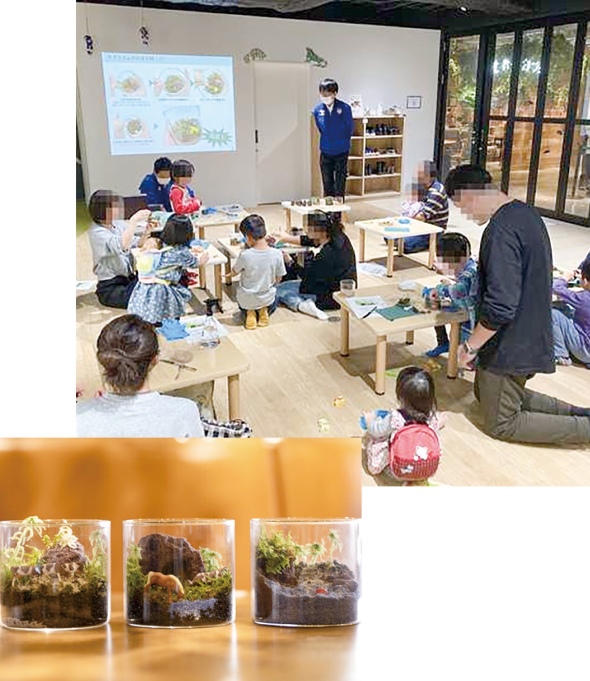 作ろう「ミニチュアの自然｣