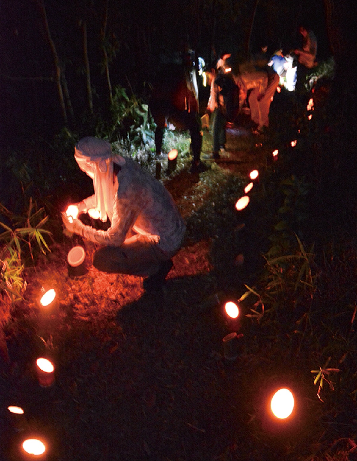 五感で楽しむ夜