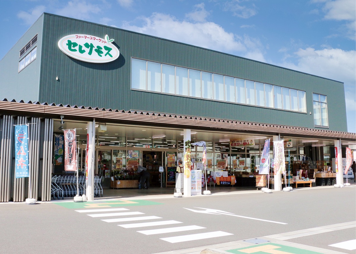 10周年フェア多彩な体験企画