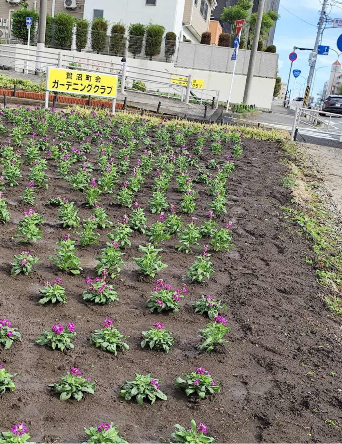 植栽通じ心に優しさ