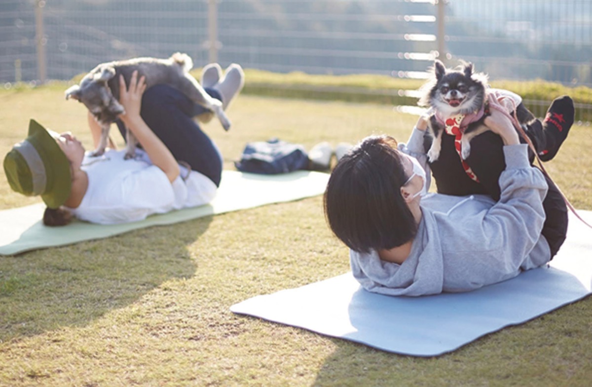 愛犬と楽しく「ドッグヨガ」