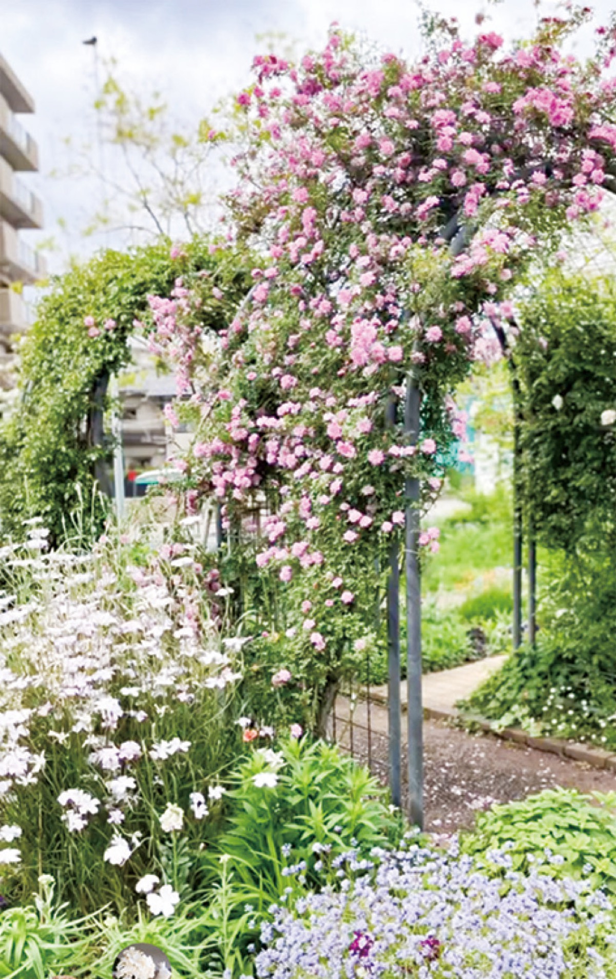 　幸区「さいわいふるさと公園」