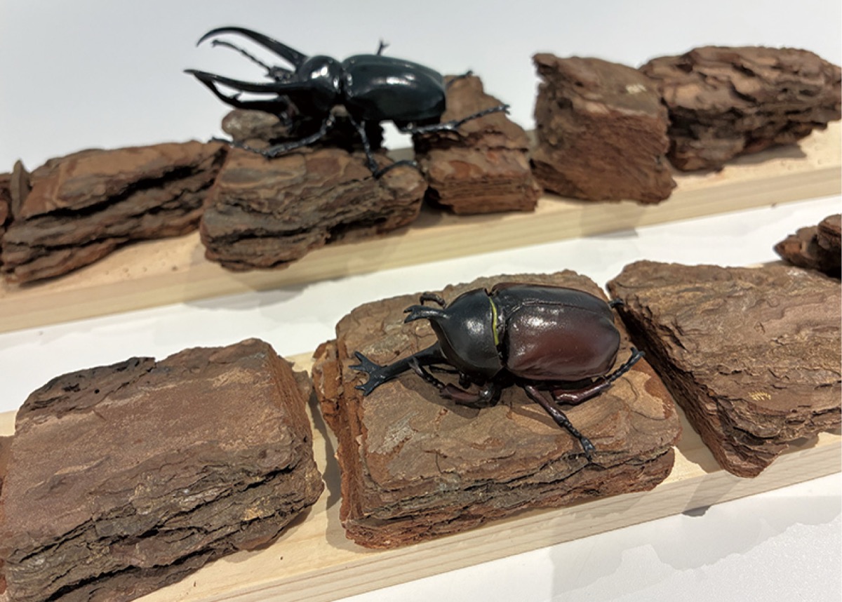 ＧＯ！ＧＯ！！フロンターレ