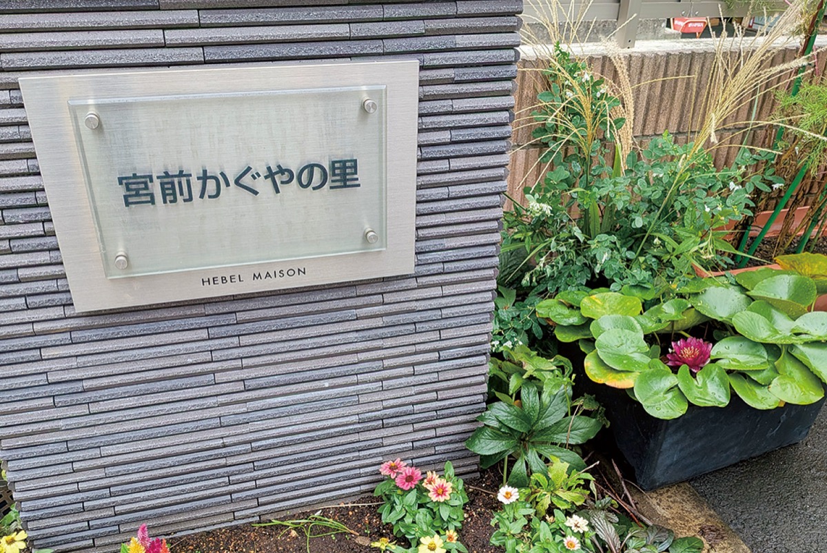 ホーム入口にはハスの花やススキも