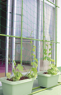 利用者も成長を楽しみにしているという