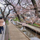 国文化財に正式登録