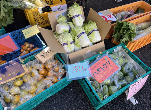 過去の催しで販売された野菜