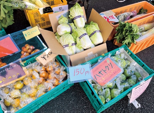 過去の催しで販売された野菜