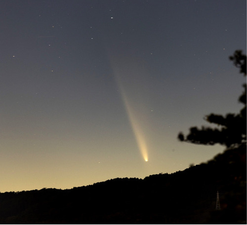 紫金山・アトラス彗星の写真