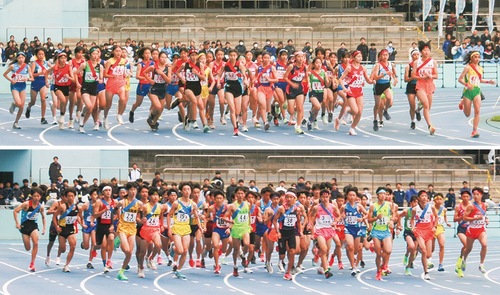 緊張のスタート直後の様子