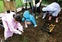 市民健康の森だより