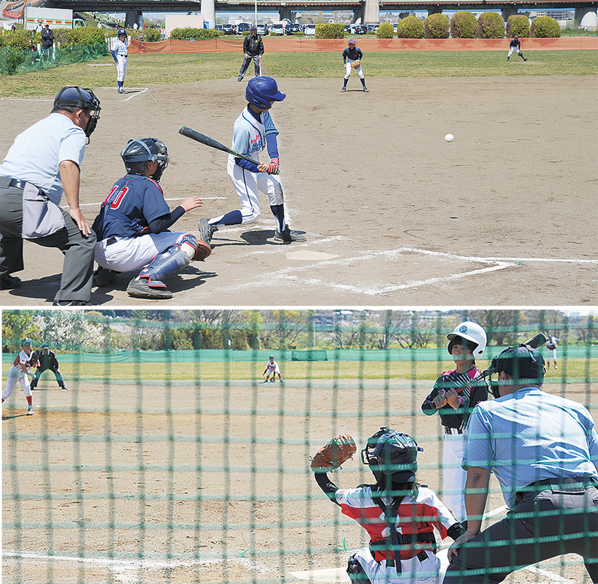 男子（上）、女子の各区代表チームが参戦