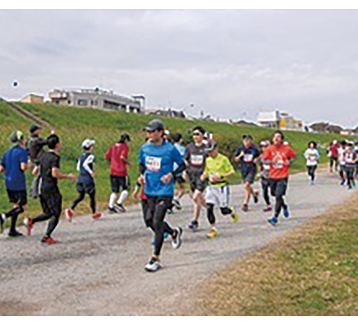 写真は過去の大会の様子
