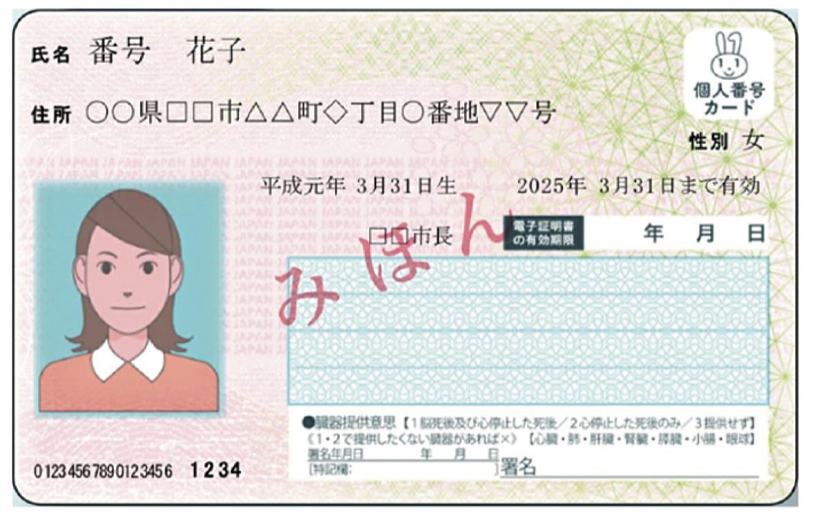 申請を｢お手伝い｣