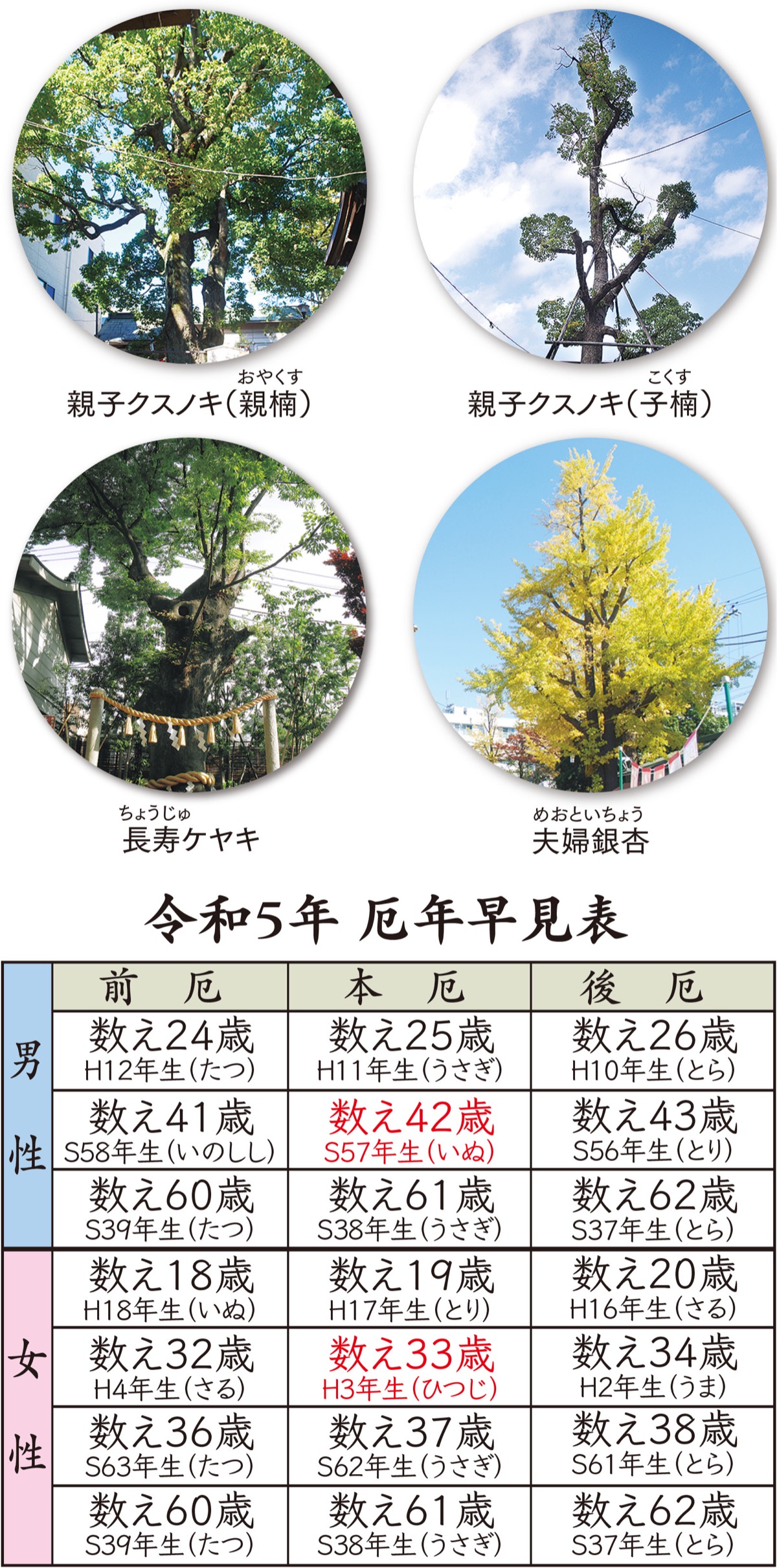 溝口神社にパワーをもらいに行こう (写真2)