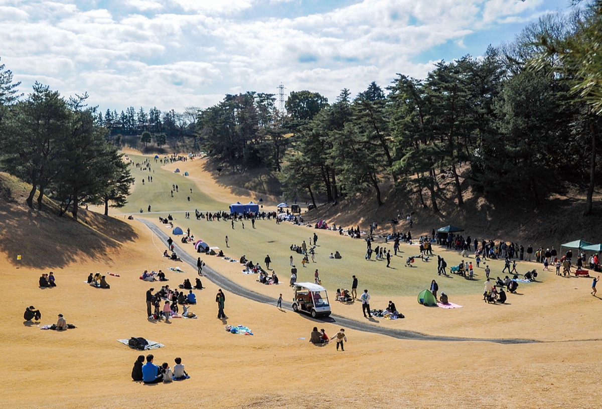 【Web限定記事】 「川崎国際生田緑地ゴルフ場」恒例の市民開放日に、今年は2千人の来場者 芝すべりなどで大はしゃぎ 高津区 タウンニュース