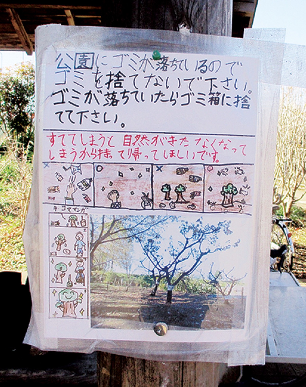 市民健康の森だより (写真1)