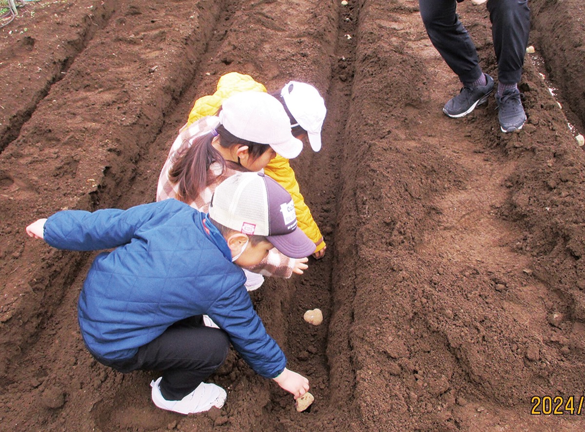 市民健康の森だより
