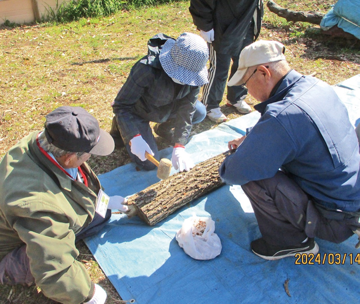 市民健康の森だより