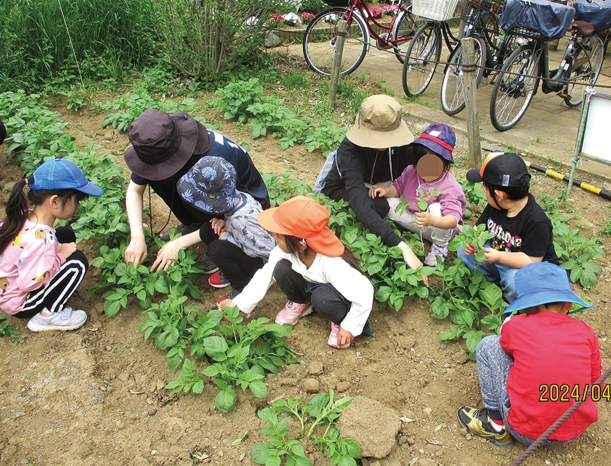 市民健康の森だより