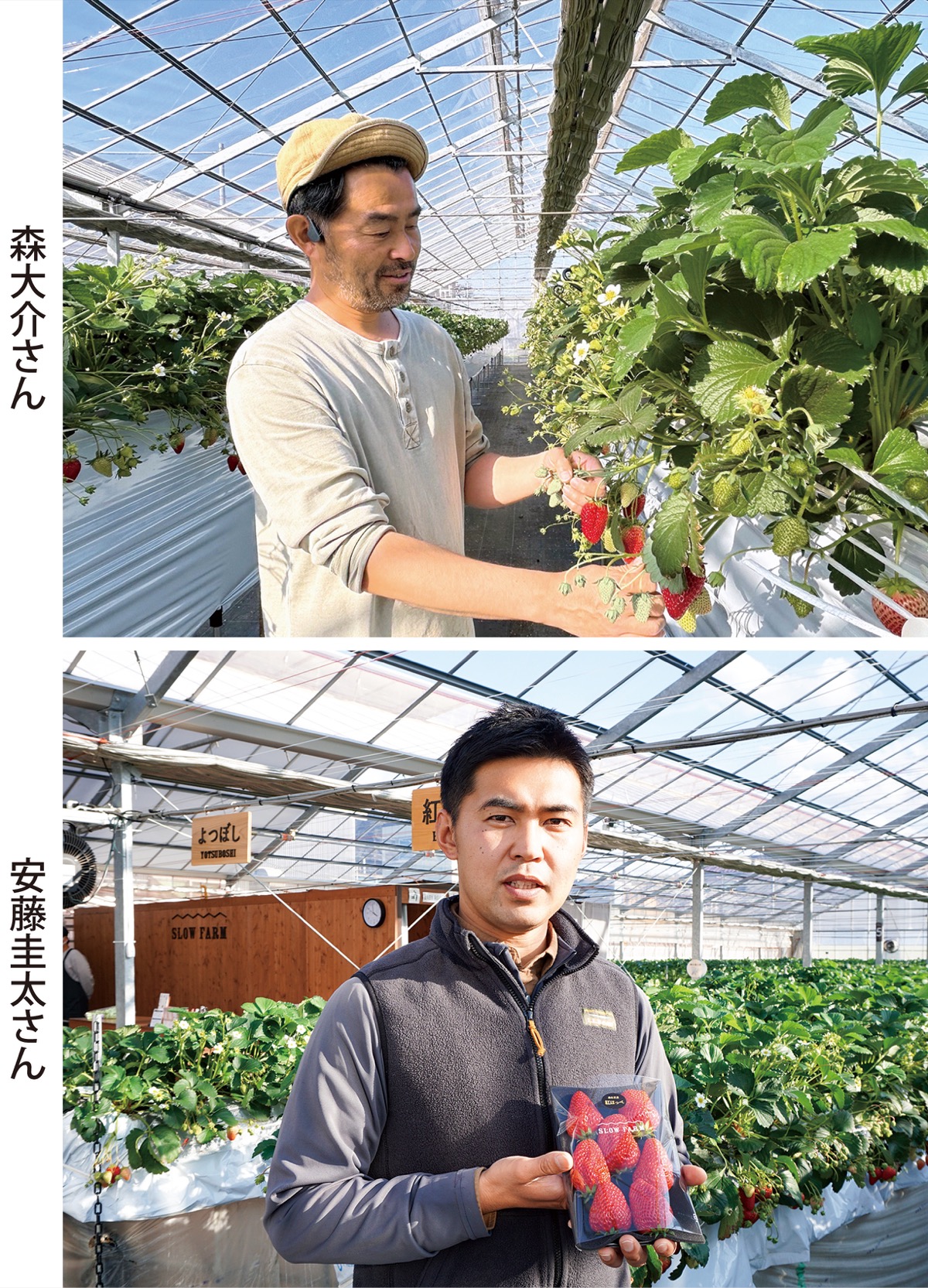 ｢地元イチゴ｣をブランドに