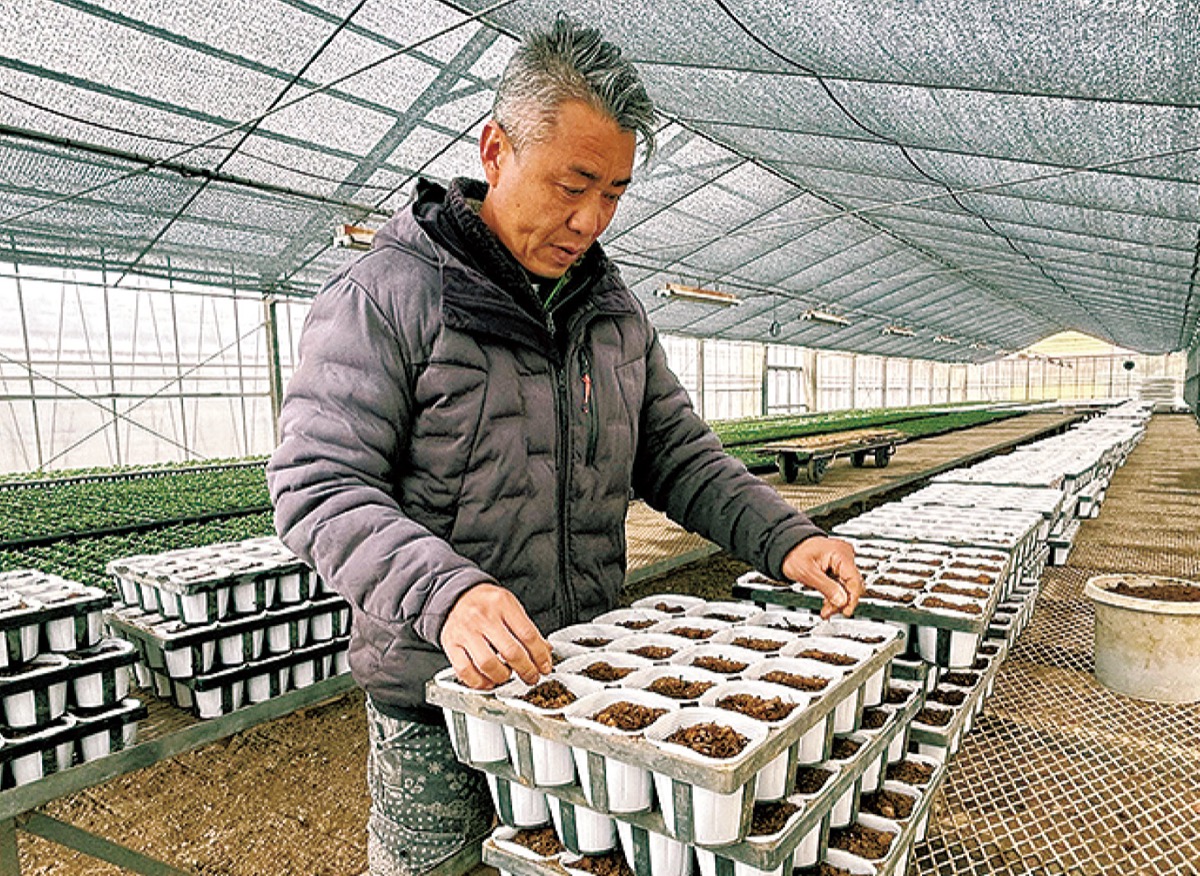 花苗を育てる入れ物に土を仕込む武笠康浩さん