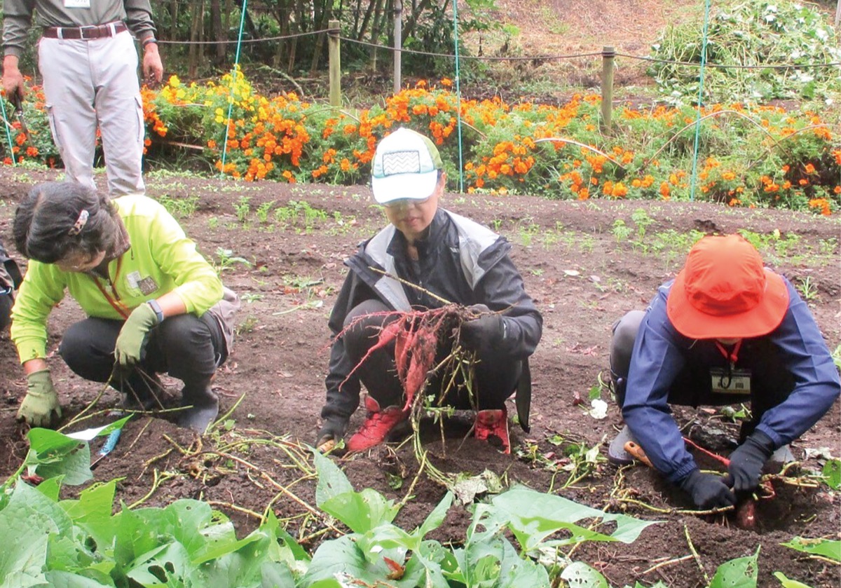 市民健康の森だより