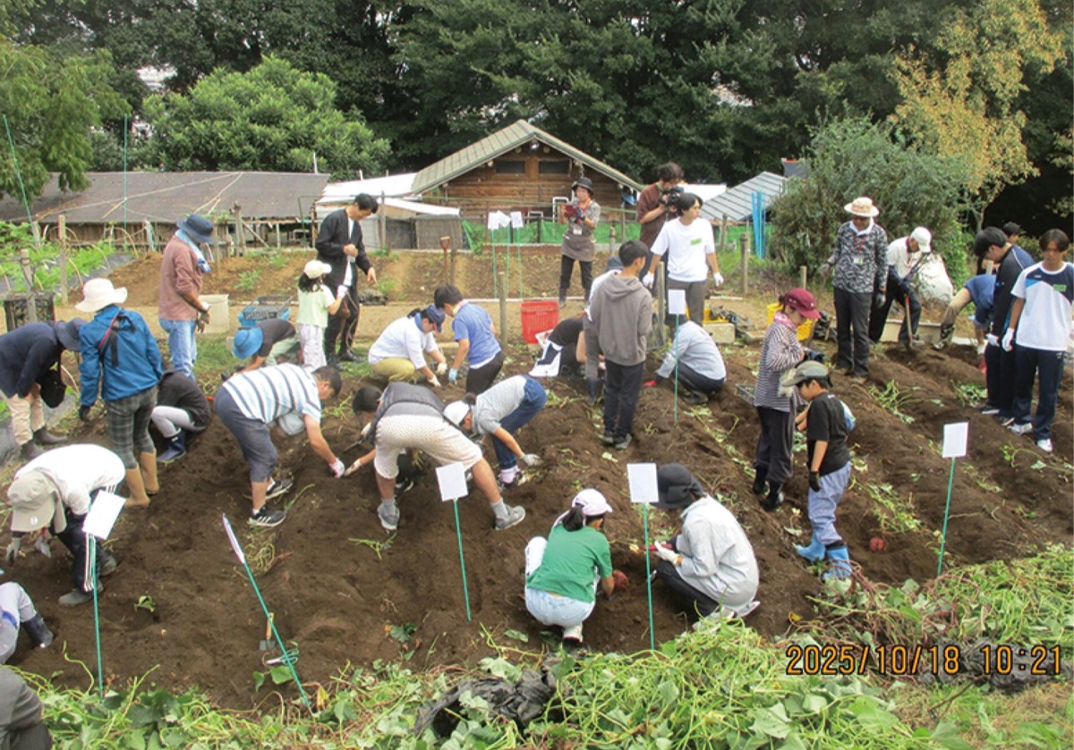 市民健康の森だより