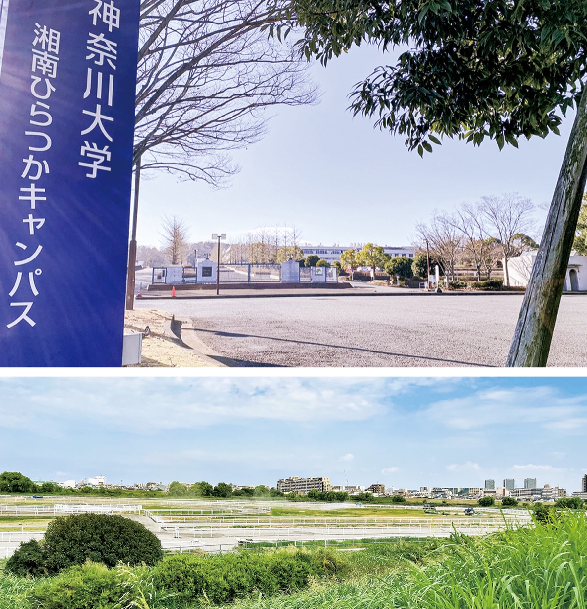 トレセン神大移転断念