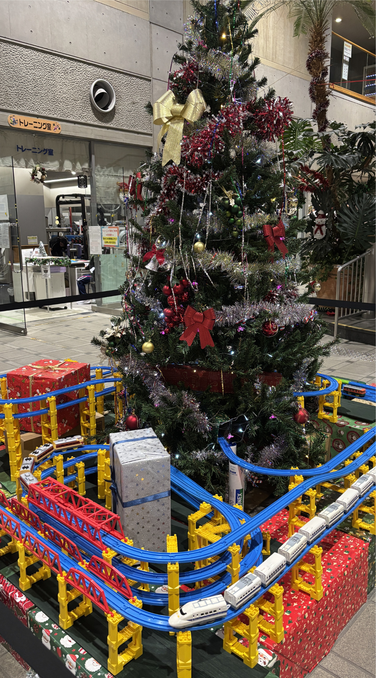 恒例ツリー今年も設置