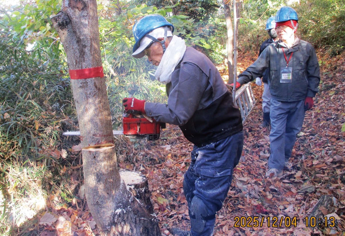 市民健康の森だより