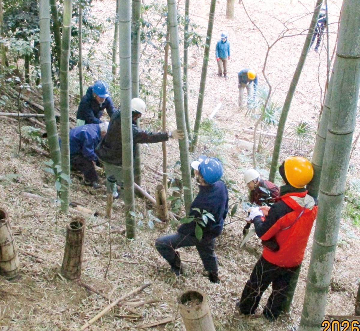 市民健康の森だより