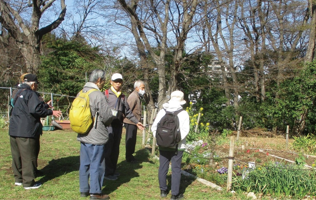 市民健康の森だより