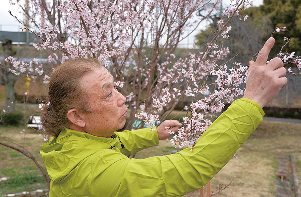 花を指さし特徴を説明する名古屋さん